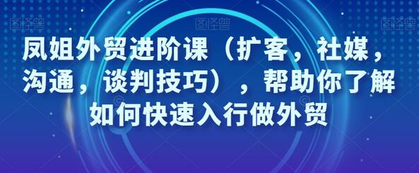 从零开始的外贸之路:凤姐外贸进阶课助你快速掌握扩客、社媒、沟通、谈判能力