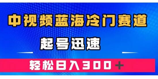 韩国奇闻解说项目：冷门赛道中的视频蓝海，快速起号